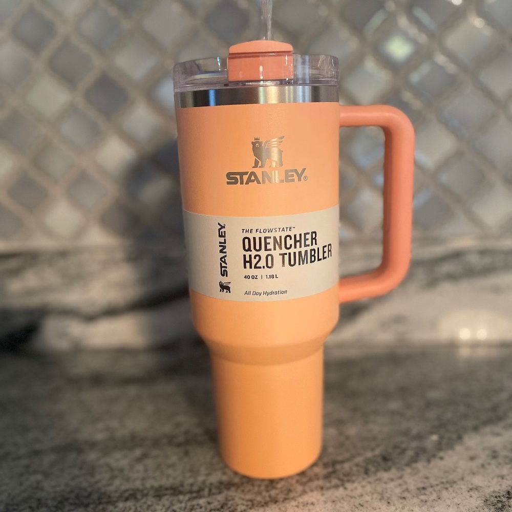 Stanley Target exclusive melon